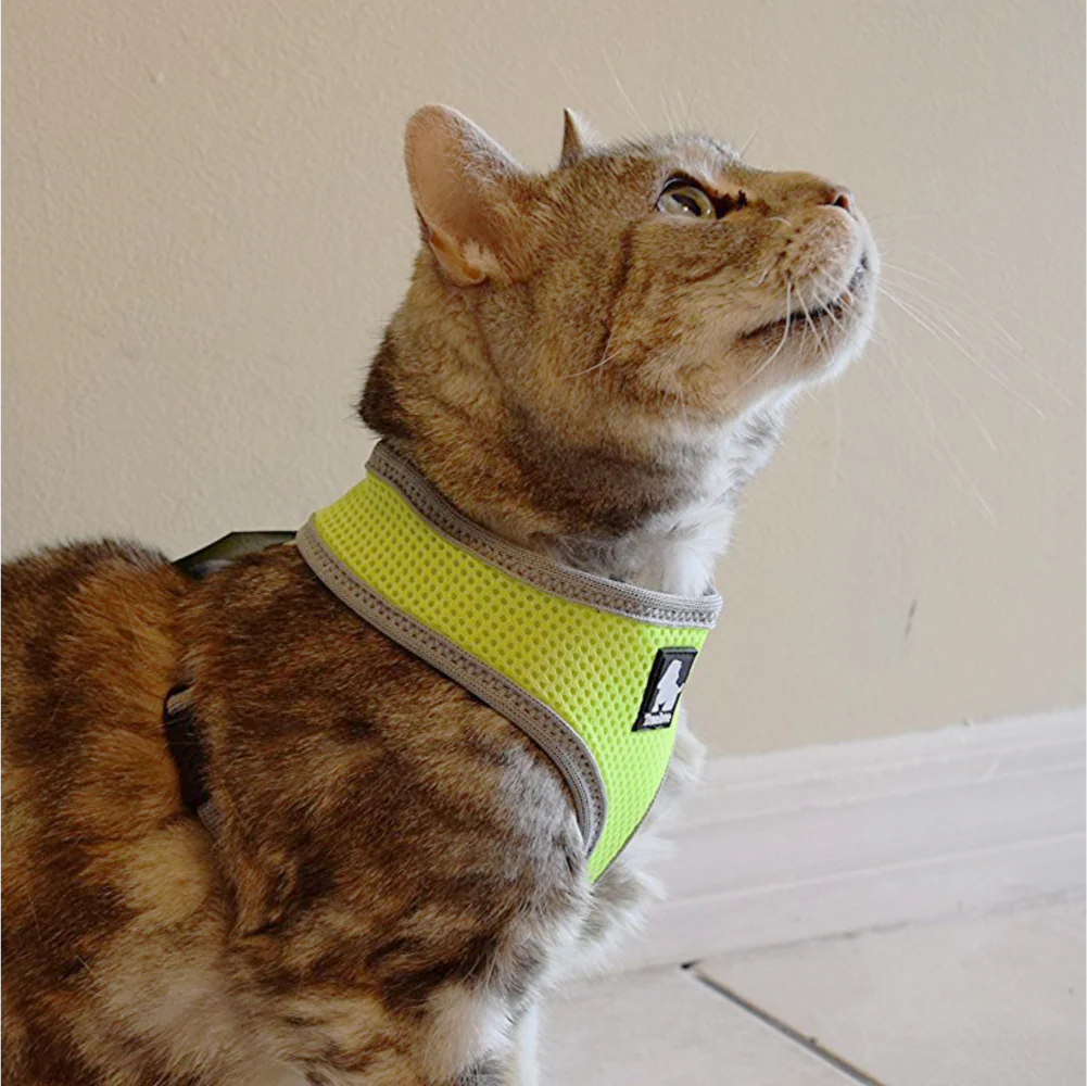 Truelove Harness for Cats and Small Dogs (Blue) - Image 6