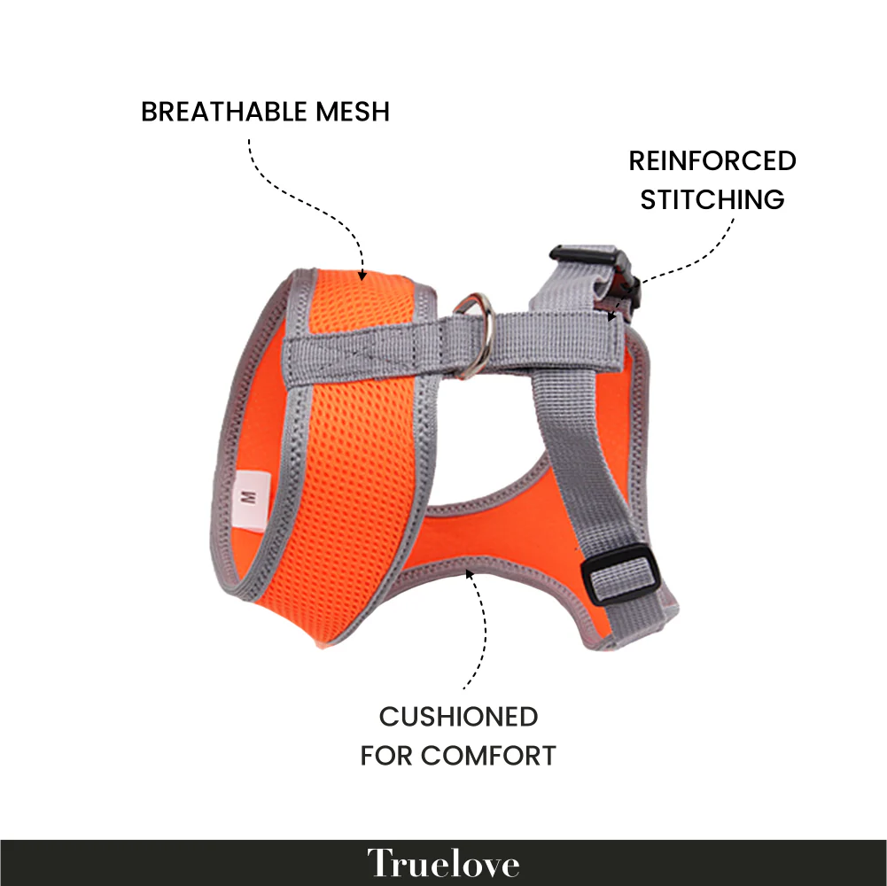 Truelove Harness for Cats and Small Dogs (Orange) - Image 4