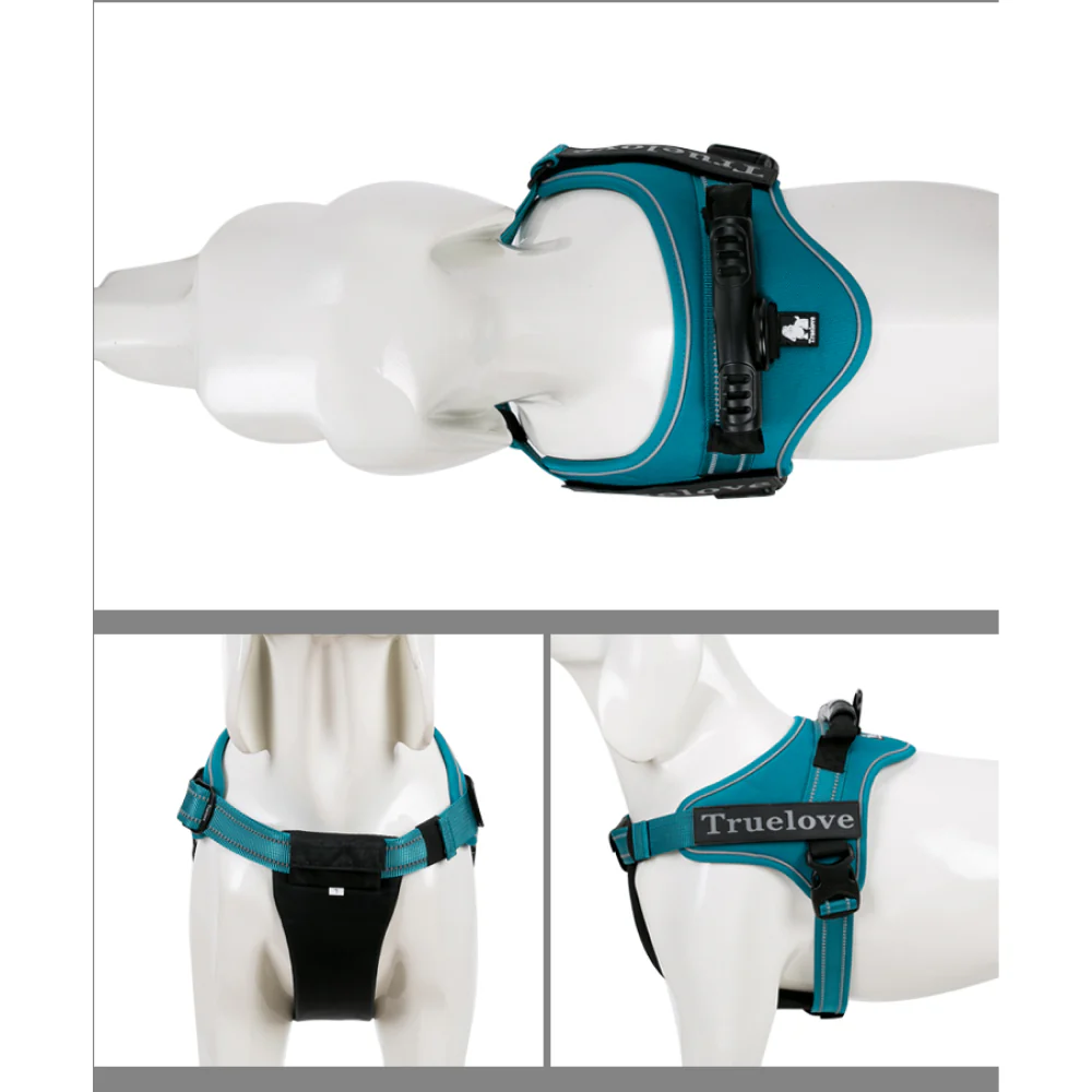 Truelove Classic Strap Harness for Dogs (Blue) - Image 3