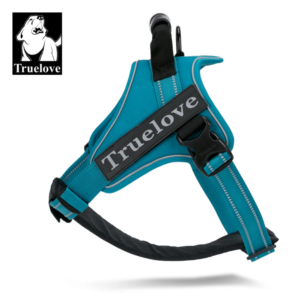 Truelove Classic Strap Harness for Dogs (Blue) - Image 4