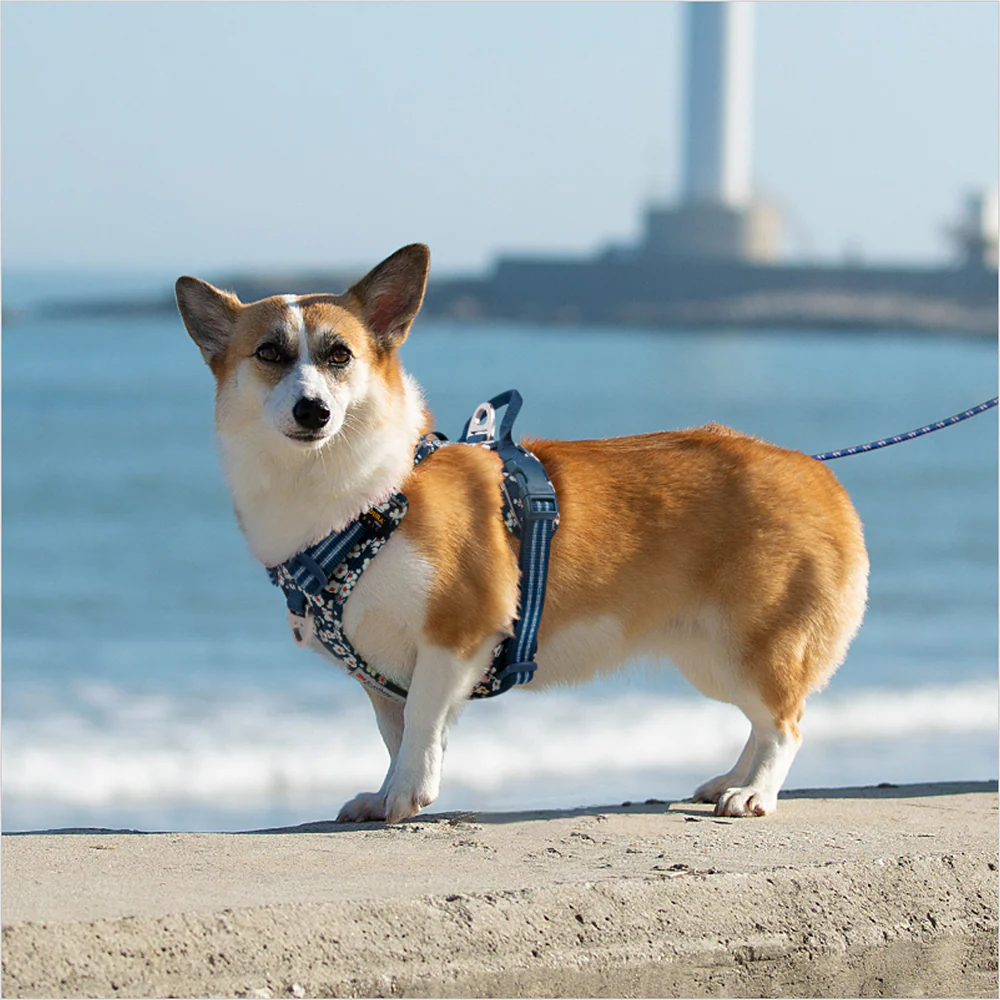 Truelove Floral No Pull Cordura Fabric Harness for Dogs (Saxony Blue) - Image 2