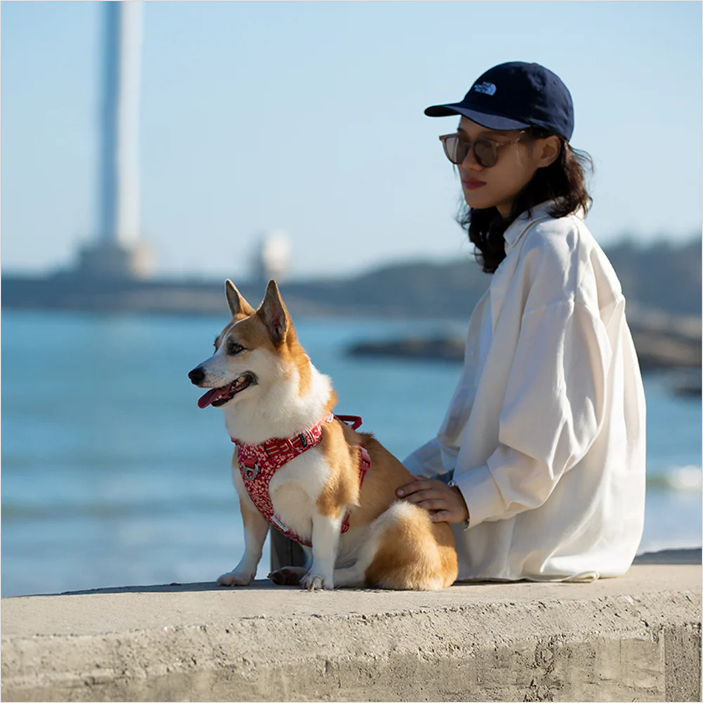 Truelove Floral No Pull Pet Harness for Dogs (Poppy Red) - Image 5