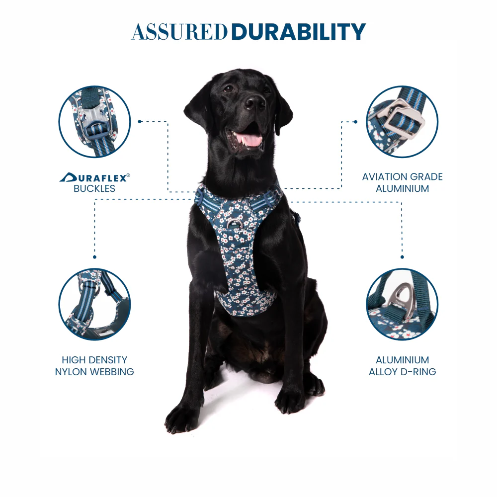 Truelove Floral No Pull 3M Reflective Harness for Dogs (Saxony Blue) - Image 5