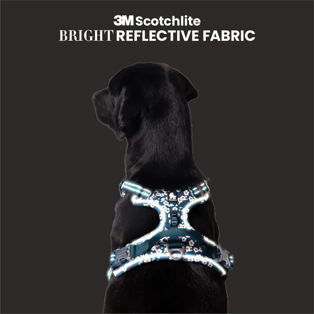 Truelove Floral No Pull 3M Reflective Harness for Dogs (Saxony Blue) - Image 6