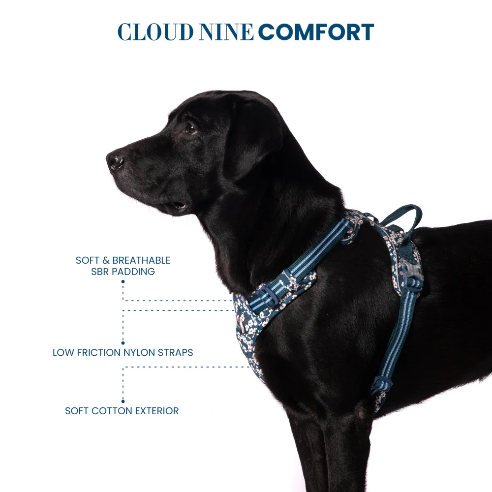 Truelove Floral No Pull 3M Reflective Harness for Dogs (Saxony Blue) - Image 7