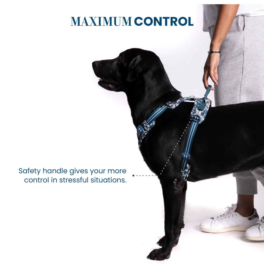 Truelove Floral No Pull 3M Reflective Harness for Dogs (Saxony Blue) - Image 8