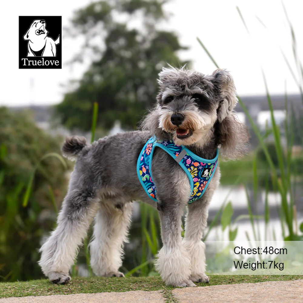 Truelove Floral Printed Breathable Air Mesh with with Dual D Rings Harness for Cats & Small Dogs (Blue Atoll) - Image 8