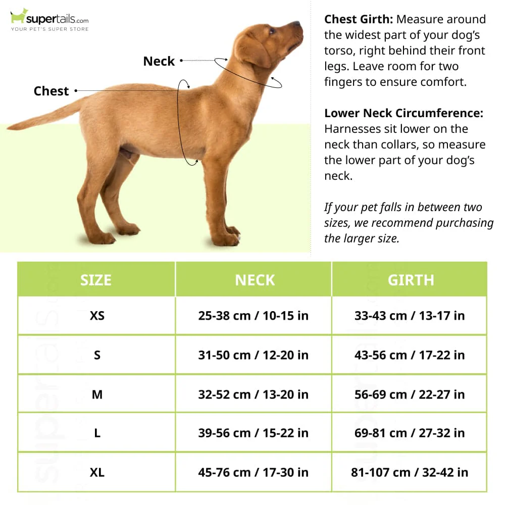 Truelove Harness with Reflective Fabric for Dogs (Black) - Image 2