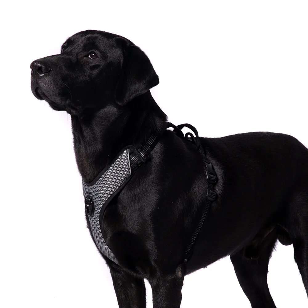 Truelove Harness with Reflective Fabric for Dogs (Black) - Image 3