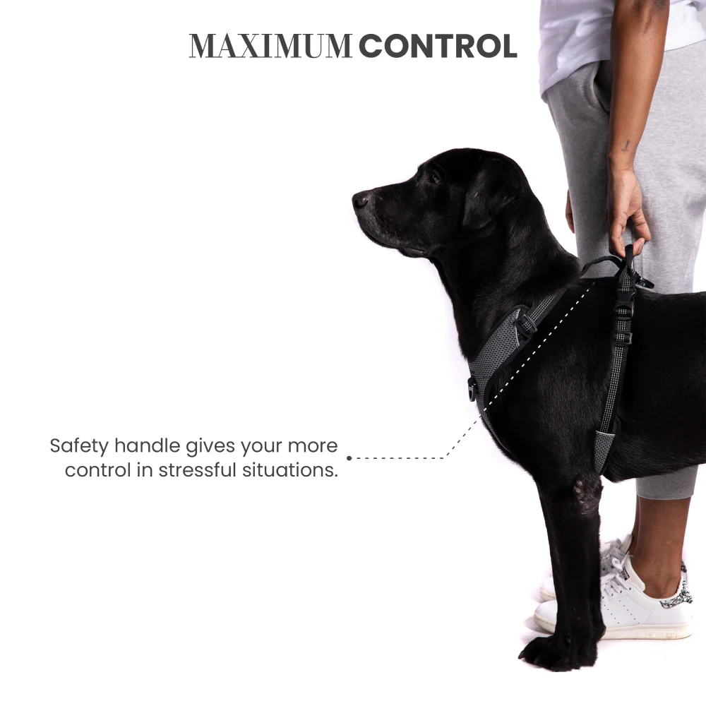 Truelove Harness with Reflective Fabric for Dogs (Black) - Image 4