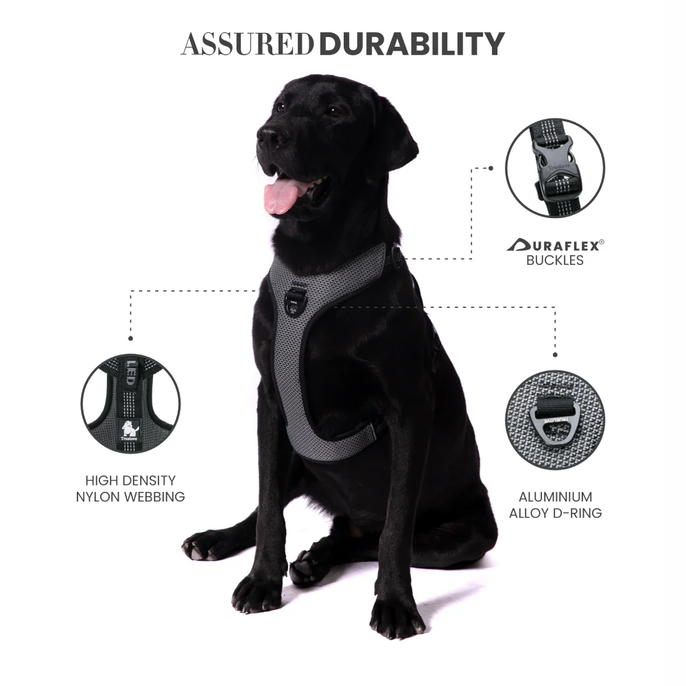Truelove Harness with Reflective Fabric for Dogs (Black) - Image 6