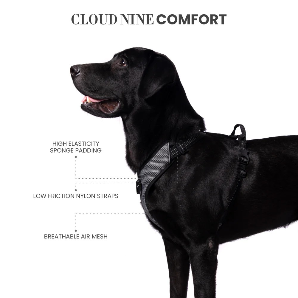 Truelove Harness with Reflective Fabric for Dogs (Black) - Image 7