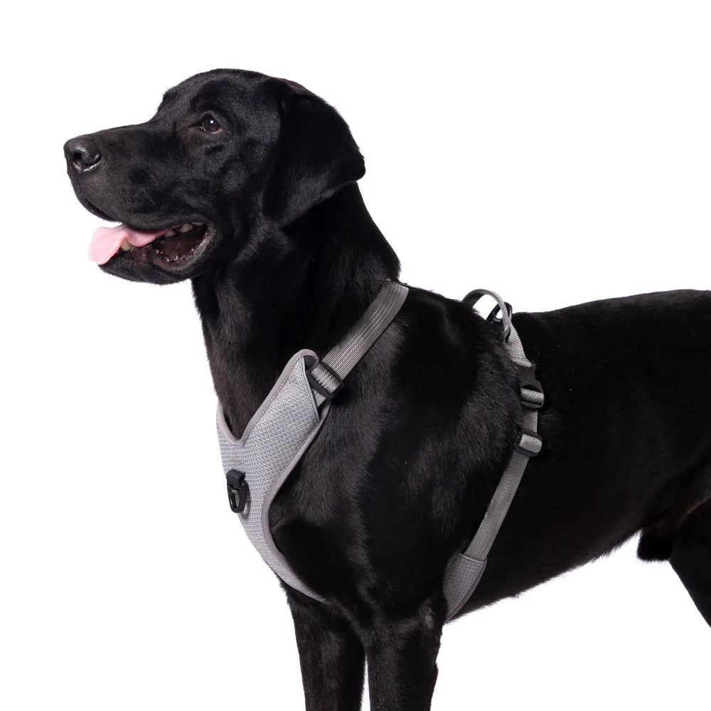 Truelove Harness with Reflective Fabric for Dogs (Gray) - Image 3