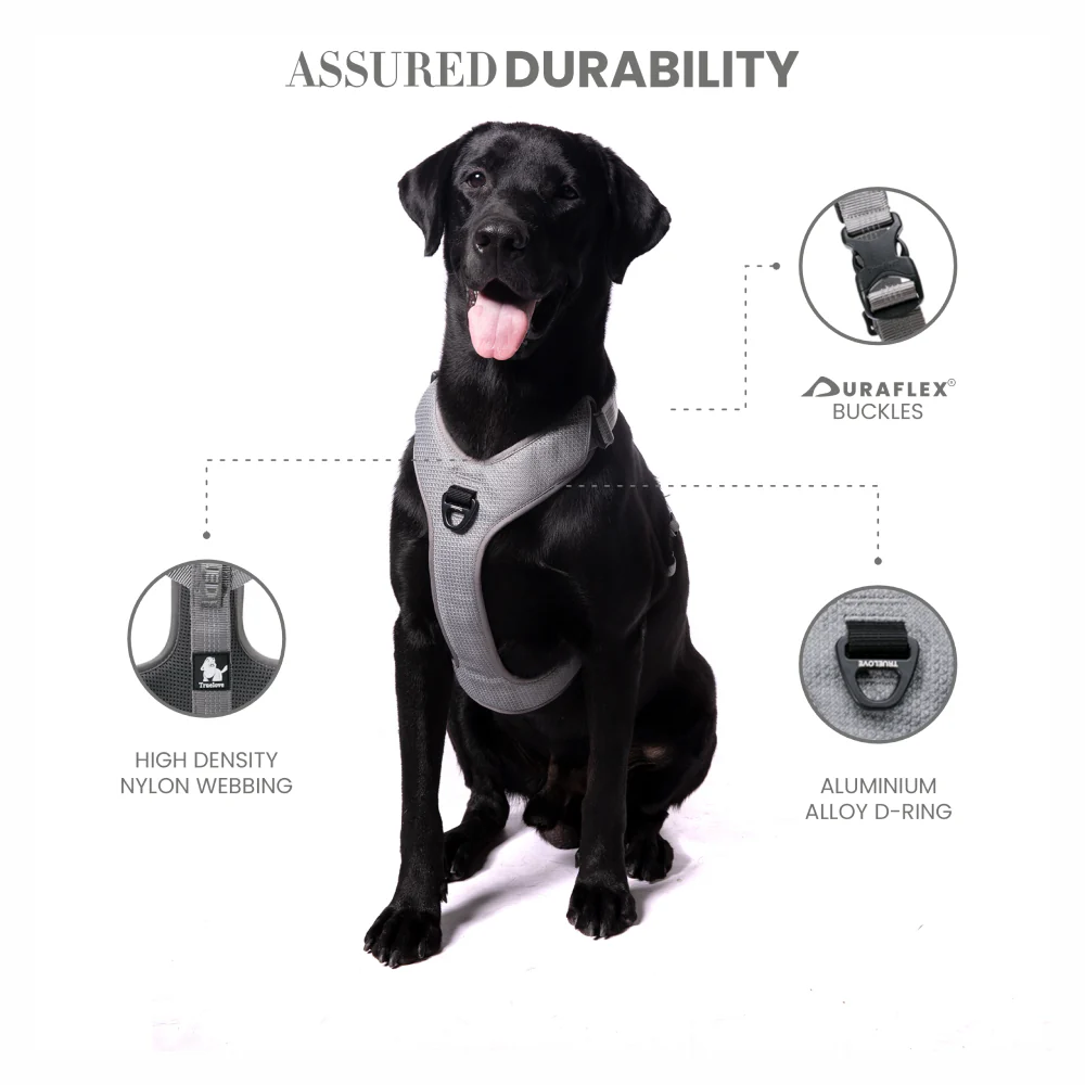 Truelove Harness with Reflective Fabric for Dogs (Gray) - Image 4