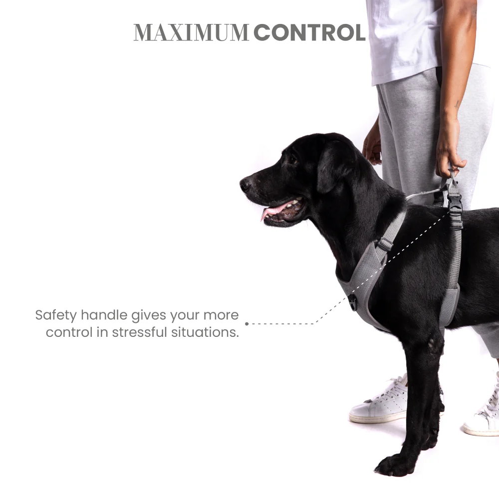 Truelove Harness with Reflective Fabric for Dogs (Gray) - Image 5