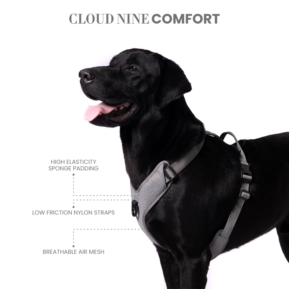 Truelove Harness with Reflective Fabric for Dogs (Gray) - Image 6