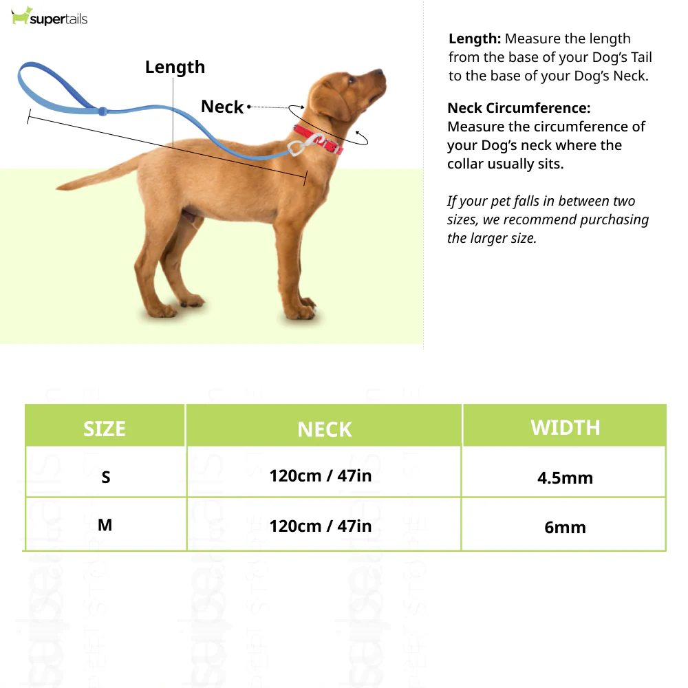 Truelove High Density Reflective Rope Webbing Leash for Dogs (Black) - Image 2