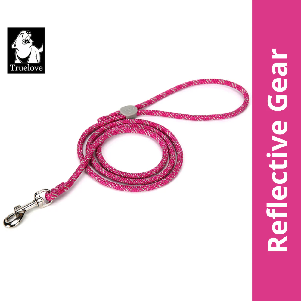 Truelove High Density Reflective Rope Webbing Leash for Dogs (Fuchsia)