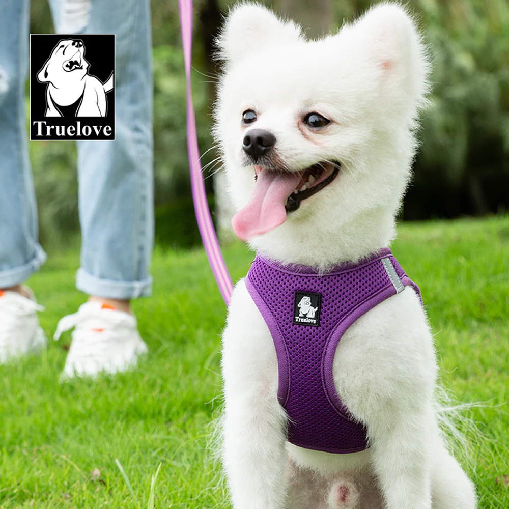 Truelove Mesh Harness & Leash Set for Cats and Small to Medium Dogs (Purple) - Image 6