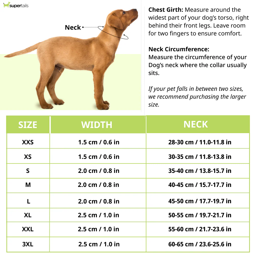 Truelove Neo Padded Collar for Dogs (Blue/Fuchsia) - Image 4
