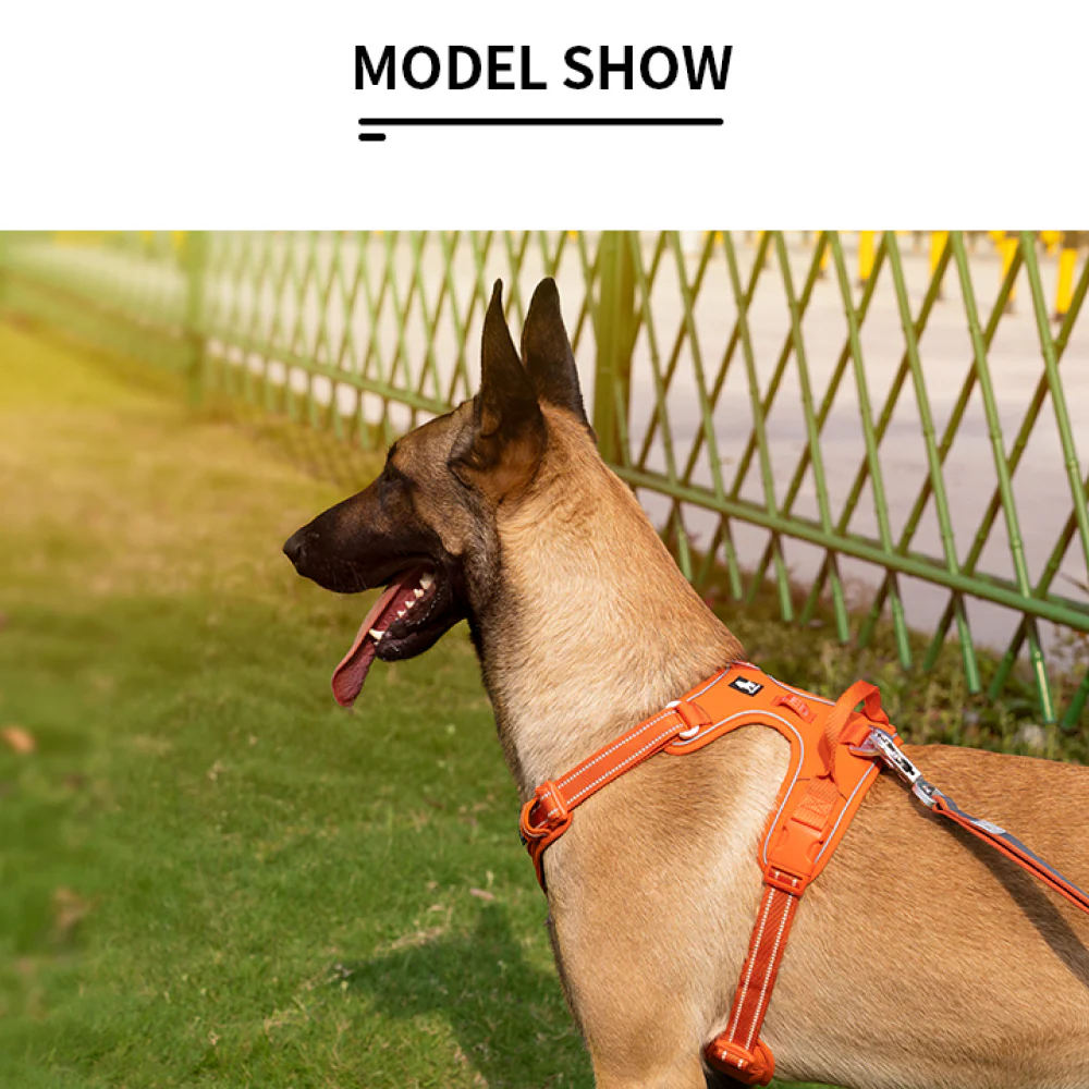 Truelove No Pull Cordura with 3M Reflective Material Harness for Dogs (Orange) - Image 14