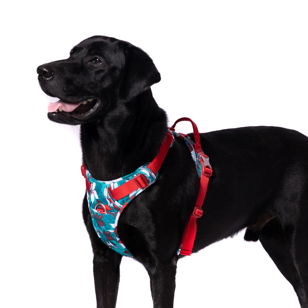 Truelove No Pull Special Edition with 3M Reflective Material Harness for Dogs (Camouflage blue) - Image 3