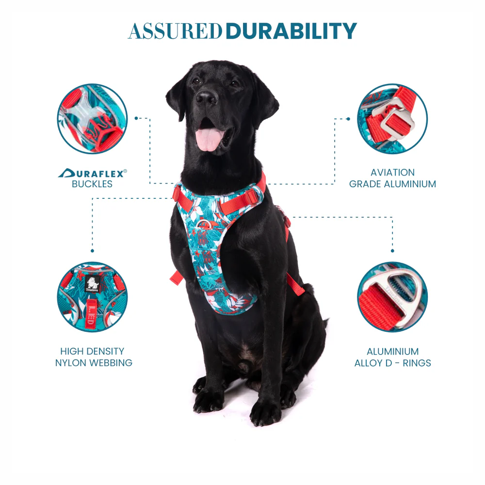 Truelove No Pull Special Edition with 3M Reflective Material Harness for Dogs (Camouflage blue) - Image 4