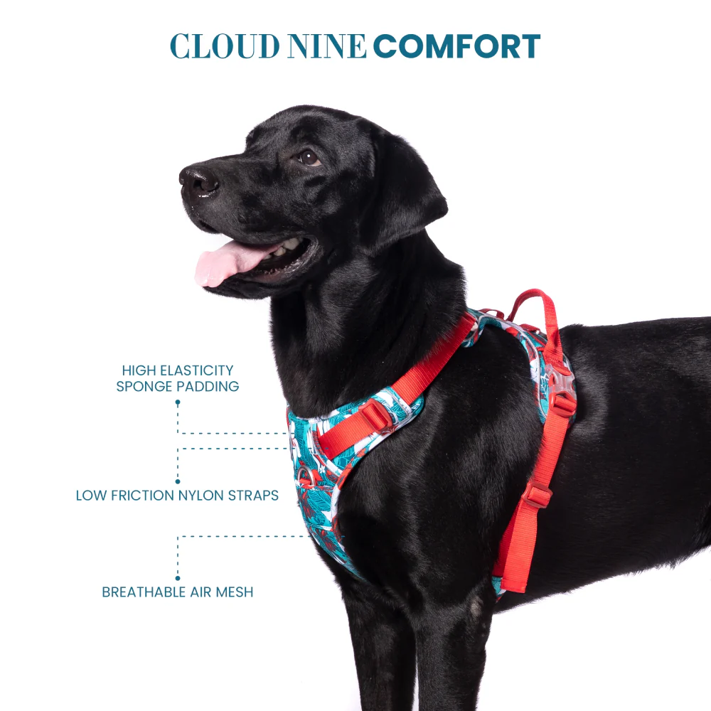 Truelove No Pull Special Edition with 3M Reflective Material Harness for Dogs (Camouflage blue) - Image 5
