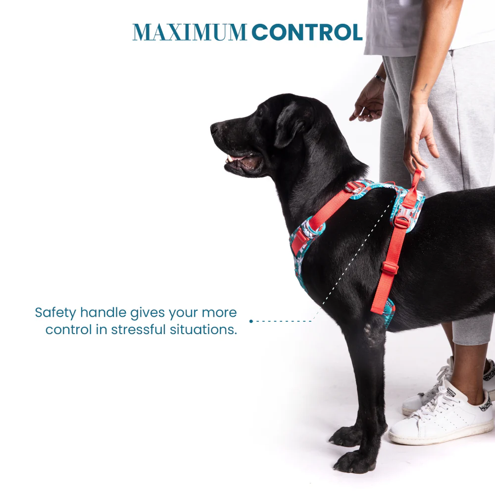 Truelove No Pull Special Edition with 3M Reflective Material Harness for Dogs (Camouflage blue) - Image 7