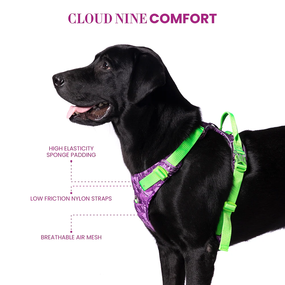 Truelove No Pull Special Edition Harness for Dogs (Camouflage Purple) - Image 5