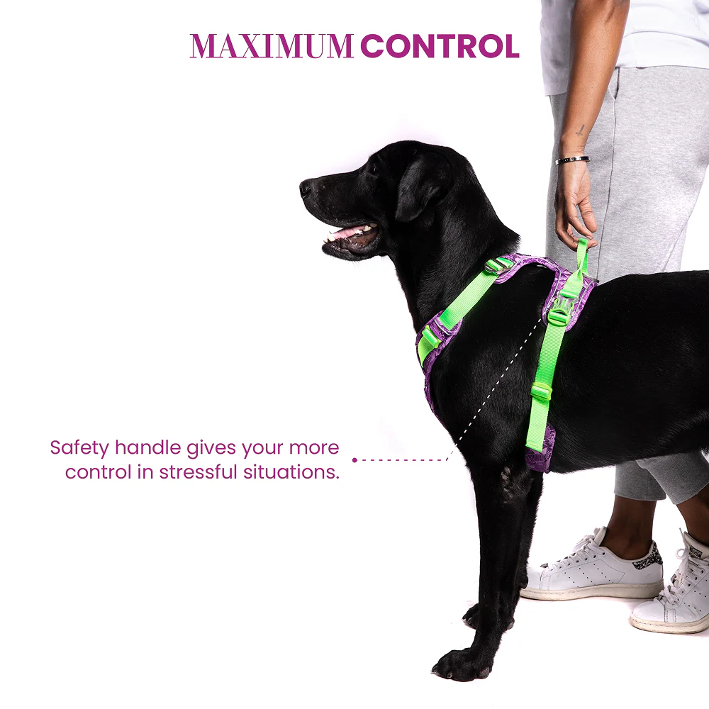 Truelove No Pull Special Edition Harness for Dogs (Camouflage Purple) - Image 6
