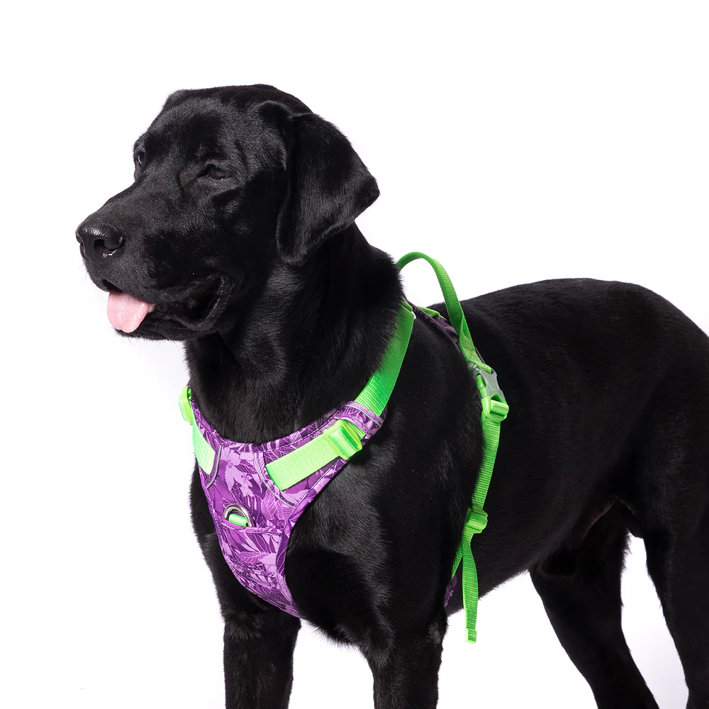 Truelove No Pull Special Edition Harness for Dogs (Camouflage Purple) - Image 7