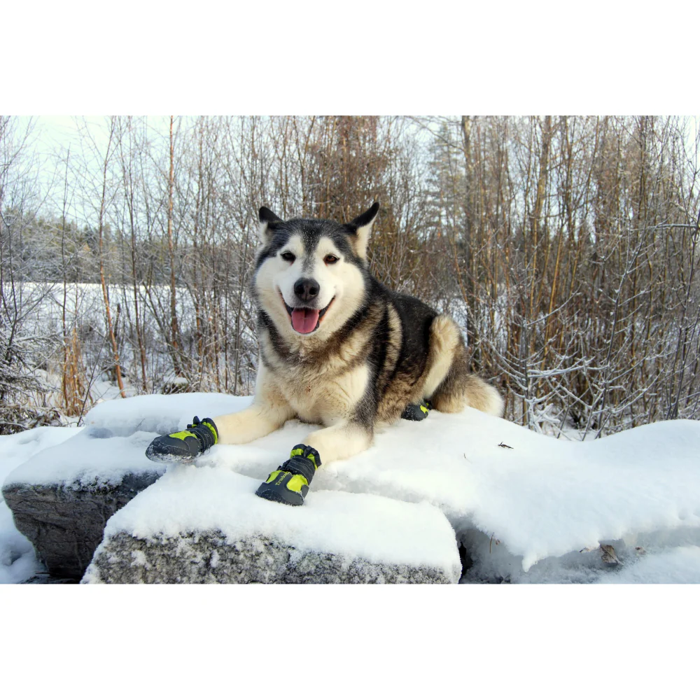 Truelove Waterproof Pet Boots for Dogs (Black, Set of 4) - Image 2