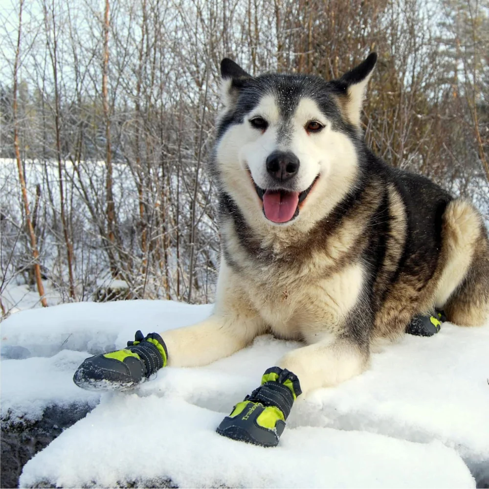 Truelove Waterproof Pet Boots for Dogs (Neon Yellow, Set of 4) - Image 2