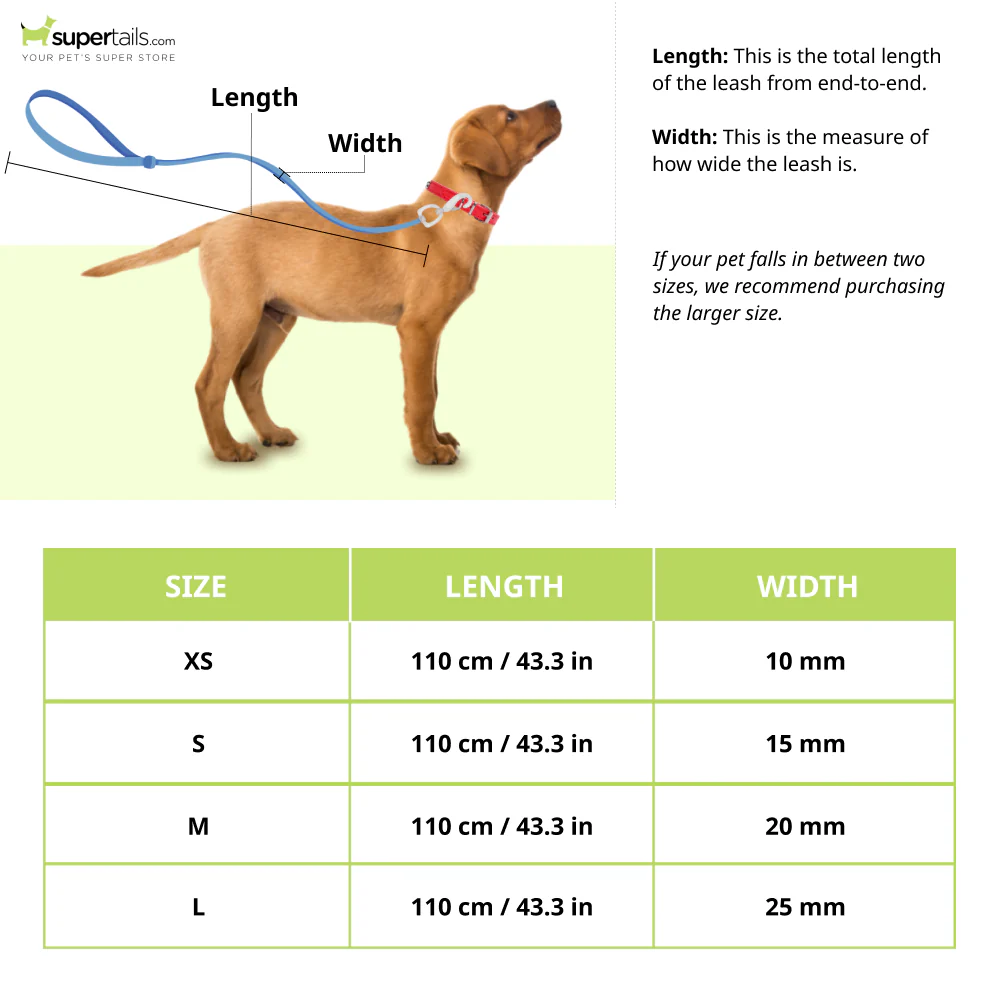 Truelove Royal Classic leash with D Rings for Dogs (Blue  110cm) - Image 2