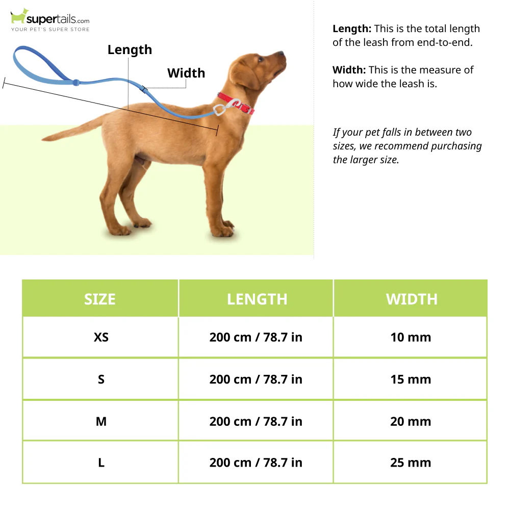 Truelove Royal Classic leash for Dogs (Blue) - Image 2