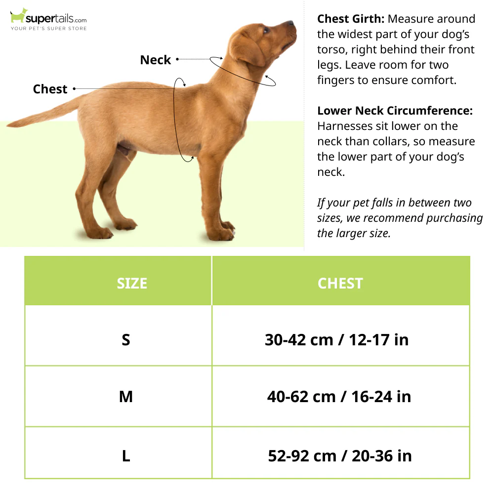 Truelove Step in Harness for Dogs (Blue) - Image 2