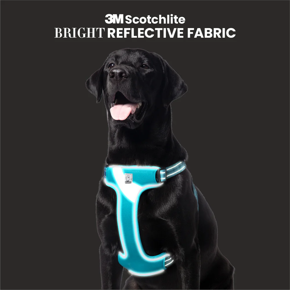 Truelove Step in Harness for Dogs (Blue) - Image 5