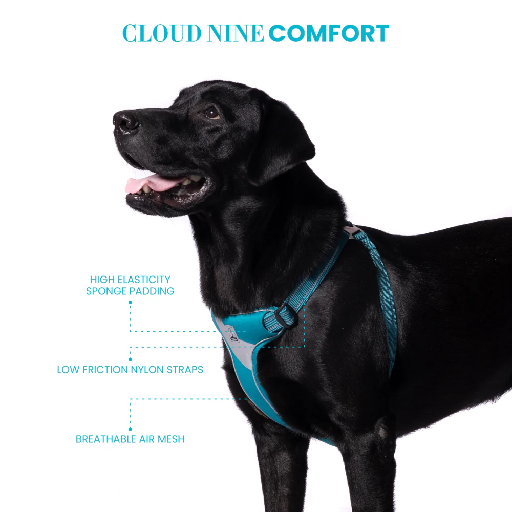 Truelove Step in Harness for Dogs (Blue) - Image 6