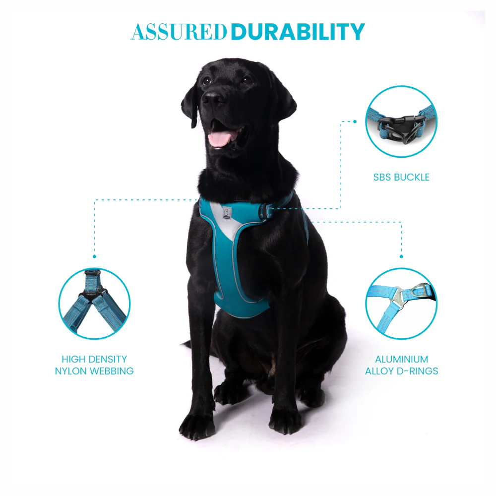 Truelove Step in Harness for Dogs (Blue) - Image 7