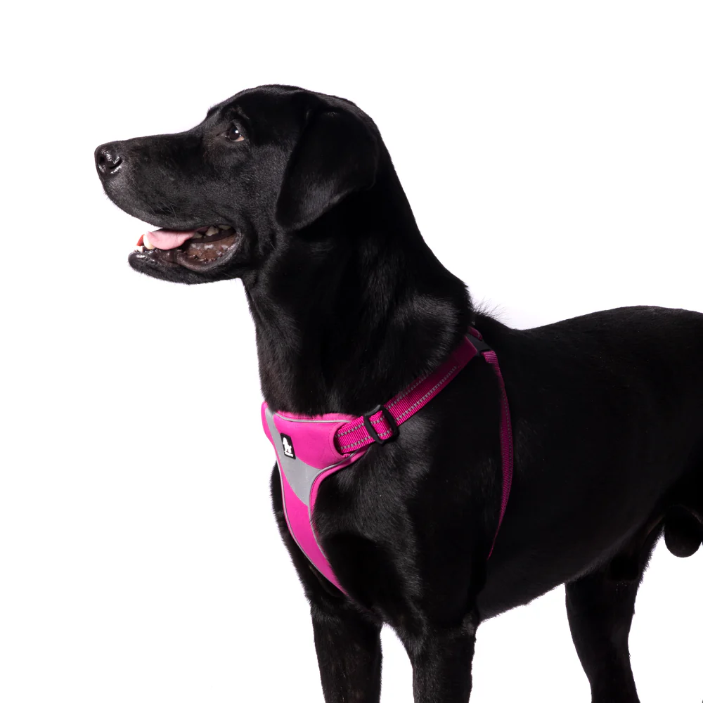 Truelove Step in with Duraflex Buckles & 3M Reflective Harness for Dogs (Fuschia) - Image 3