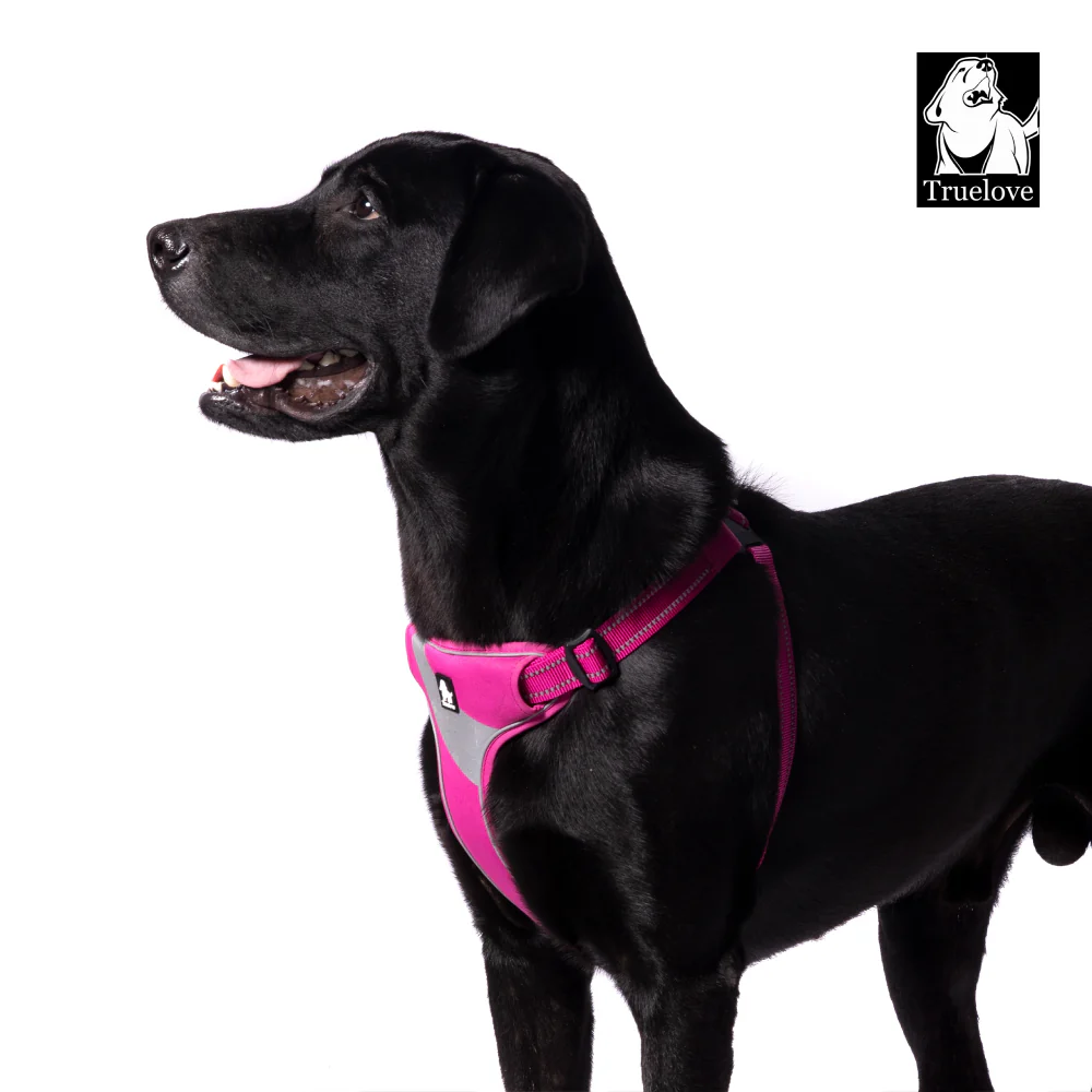 Truelove Step in with Duraflex Buckles & 3M Reflective Harness for Dogs (Fuschia) - Image 4