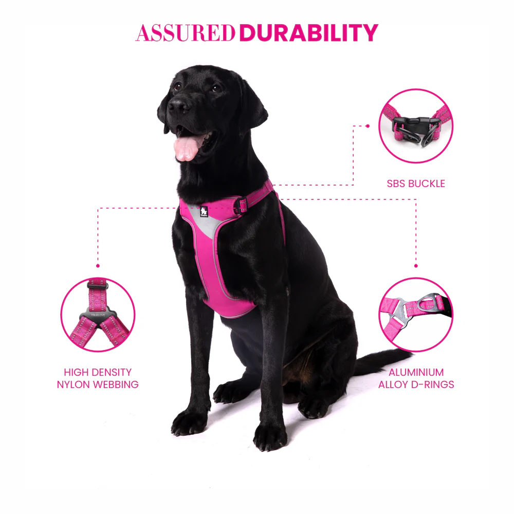 Truelove Step in with Duraflex Buckles & 3M Reflective Harness for Dogs (Fuschia) - Image 5