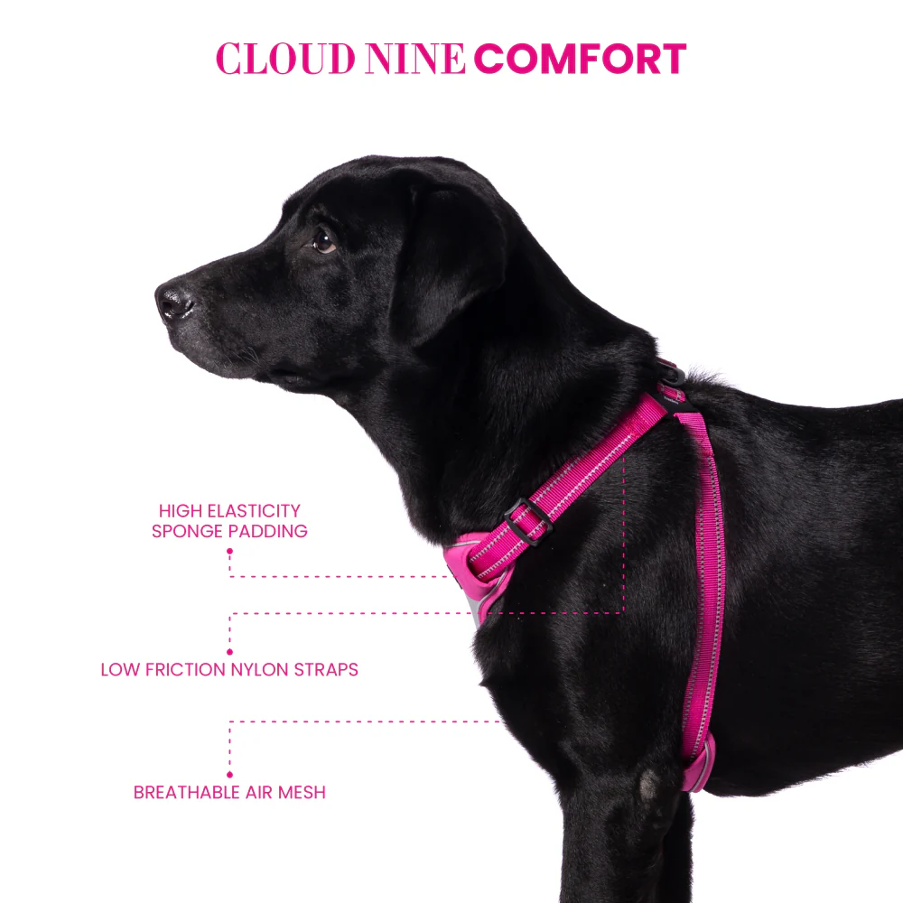 Truelove Step in with Duraflex Buckles & 3M Reflective Harness for Dogs (Fuschia) - Image 6