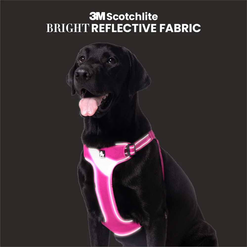 Truelove Step in with Duraflex Buckles & 3M Reflective Harness for Dogs (Fuschia) - Image 7
