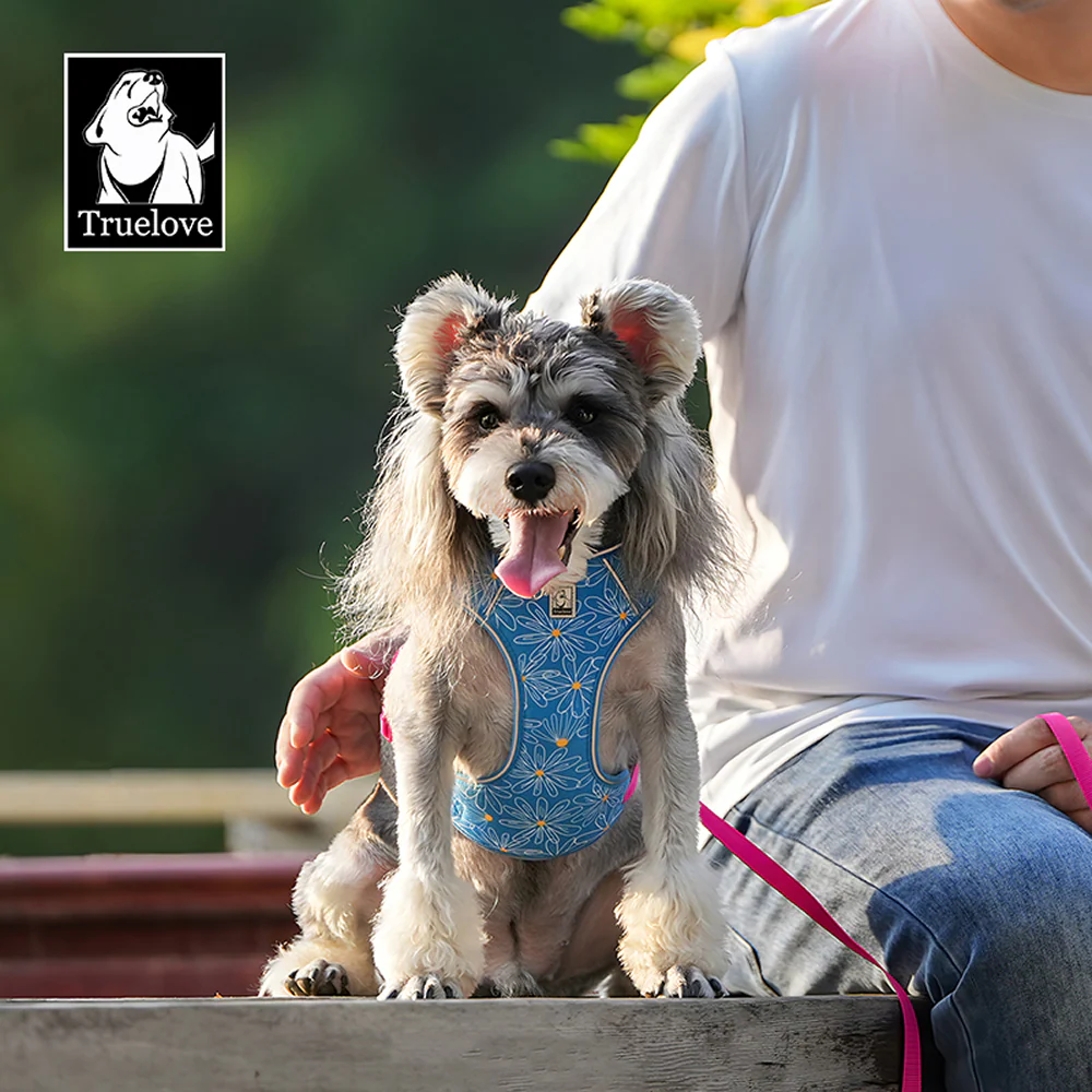Truelove Ultra Light Harness & Leash Set for Small Dogs (Diva Blue) - Image 9