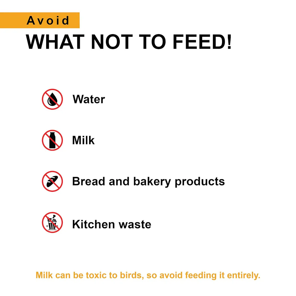 Tunai Hand Feeding Formula for All New Born Baby Birds - Image 6