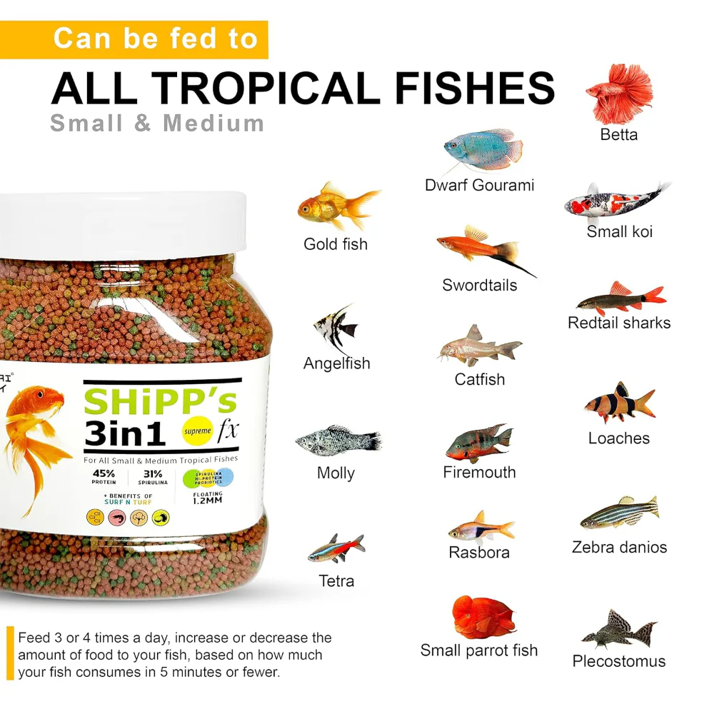 Tunai Shipp's 3in1 Pellets Small and Medium Adult Fish Food - Image 5