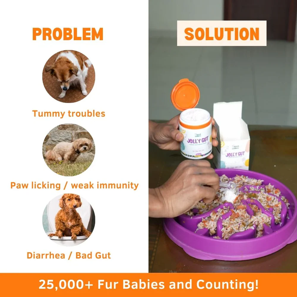Unleash Wellness Jolly Gut Pre and Pro Biotic Supplement for Dogs and Cats - Image 2