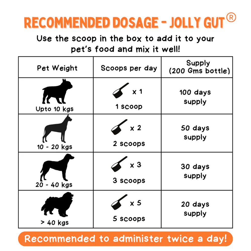 Unleash Wellness Jolly Gut Pre and Pro Biotic Supplement for Dogs and Cats - Image 4